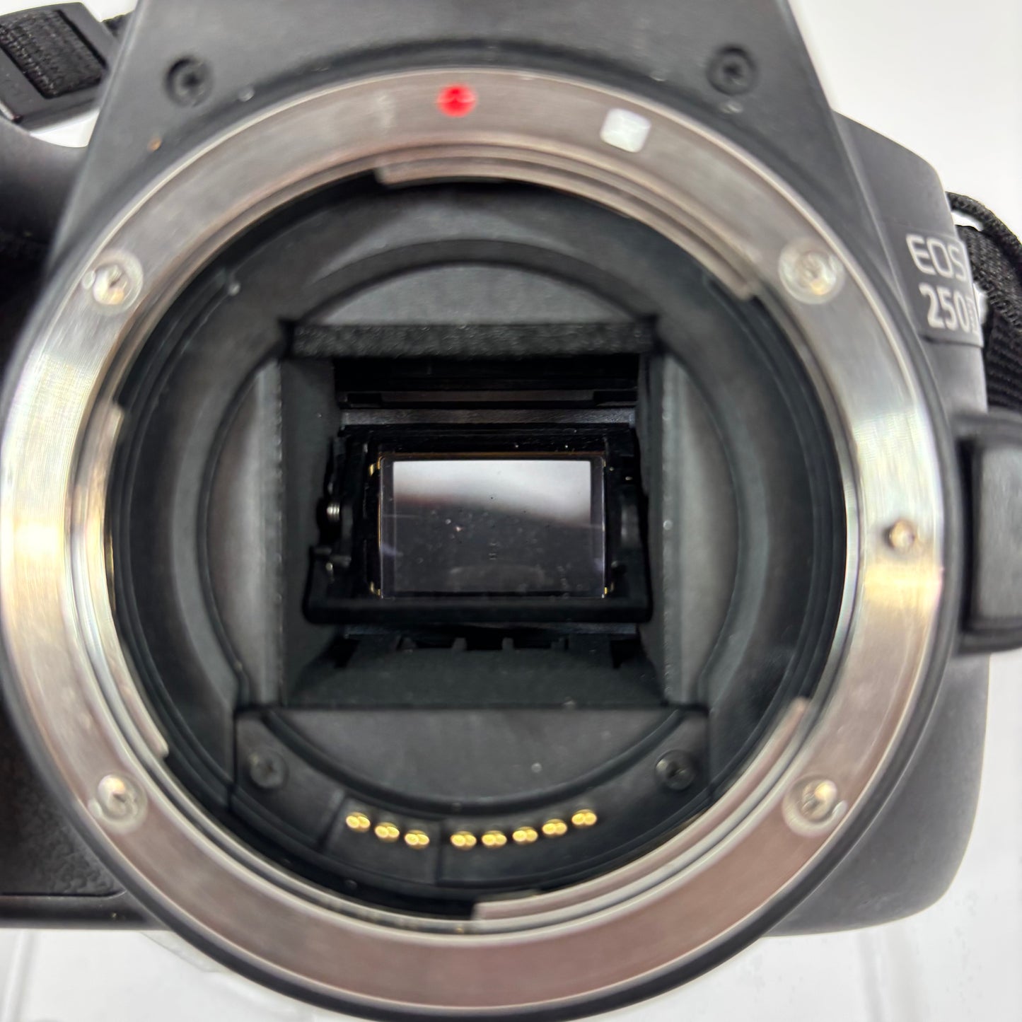 Canon EOS 250D 24.1MP Digital SLR DSLR Camera Body Only